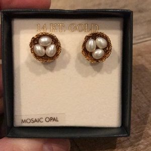 NIB✨14K Gold Opal Accented Earrings